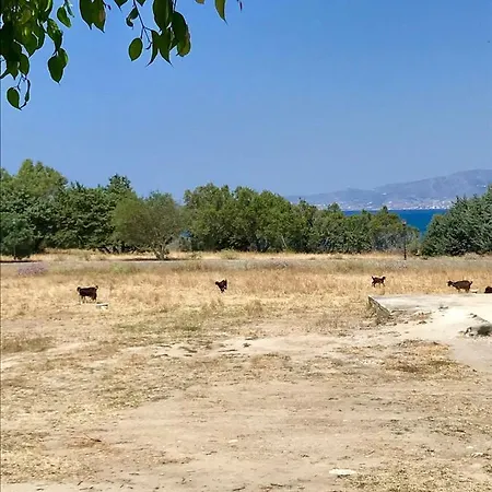 Prázdninový dům Zas-dionysos-apollonas *